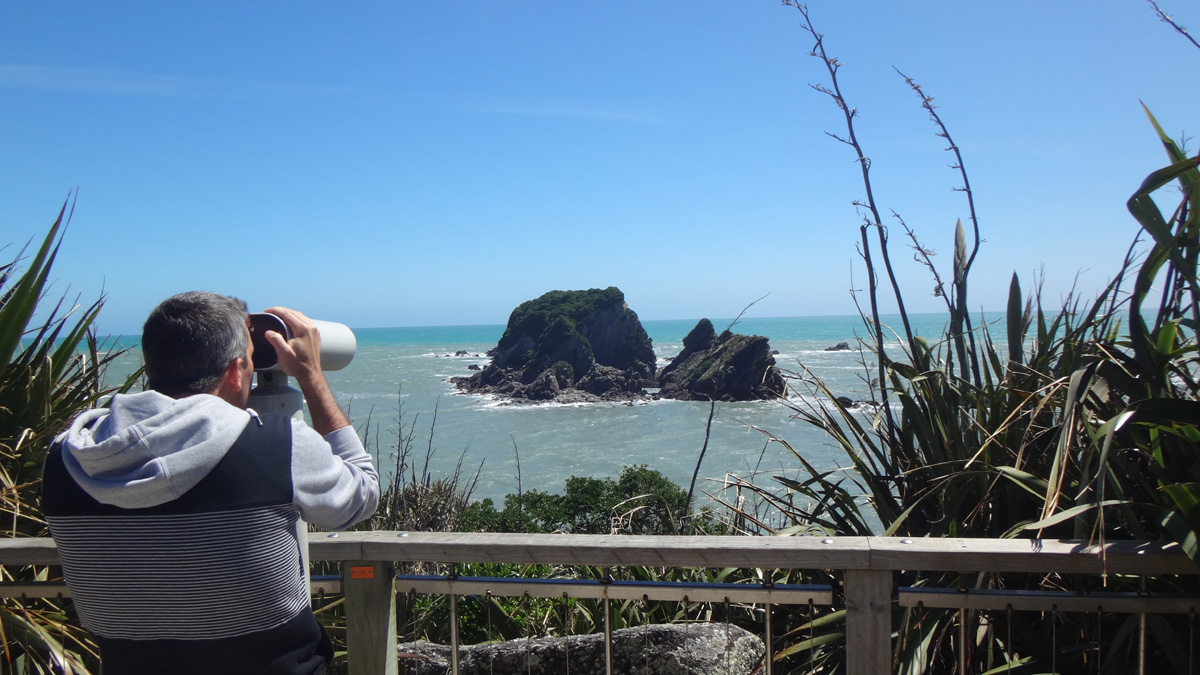 Jour 31 : Cape Foulwind