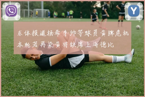 东体报道杨希李帅等球员黄牌危机本轮若再染黄将缺席上海德比