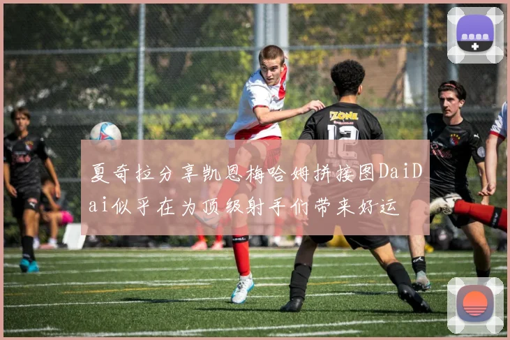 夏奇拉分享凯恩梅哈姆拼接图DaiDai似乎在为顶级射手们带来好运